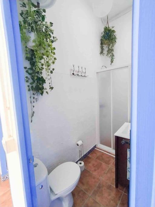 “Flor De Sal” Charming Traditional Andalusian House Ayamonte Exteriér fotografie